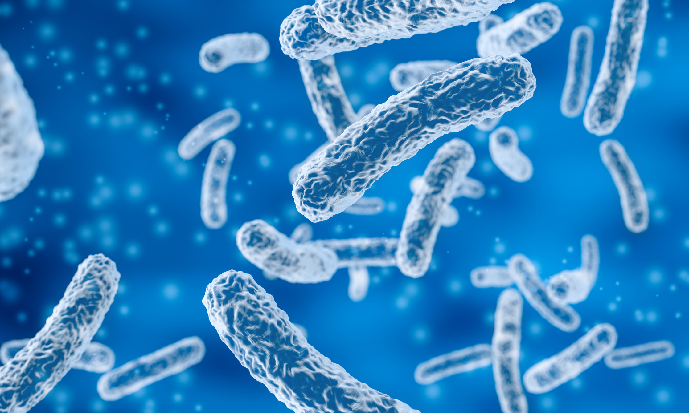 Electron-microscopy rendering of bacterial rods